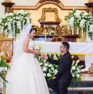 Meet your Posher, Franklin